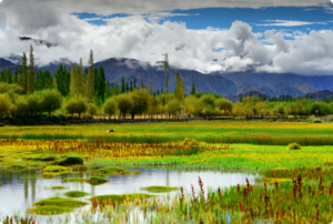 LADAKH TOUR PACKAGES-4N/5D