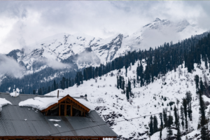 Manali-Pocket Friendly Deal