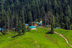 Kashmir Economical Tour Packages